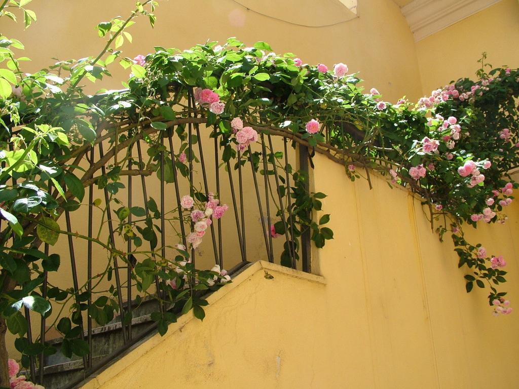 B&B Maison Rosetta Iun-E4948 Nuoro  Exterior foto